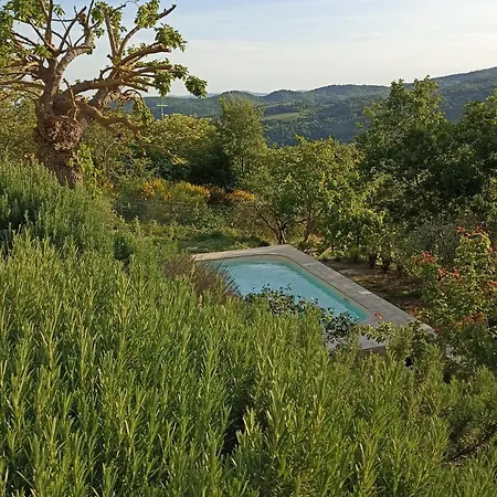 Bed & Breakfast Lavanda E Rosmarino