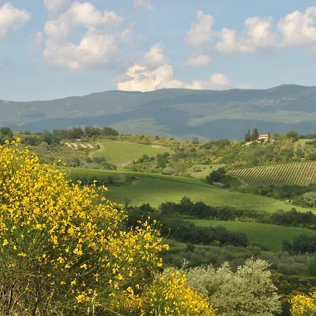 Lavanda E Rosmarino ベッド・アンド・ブレックファスト