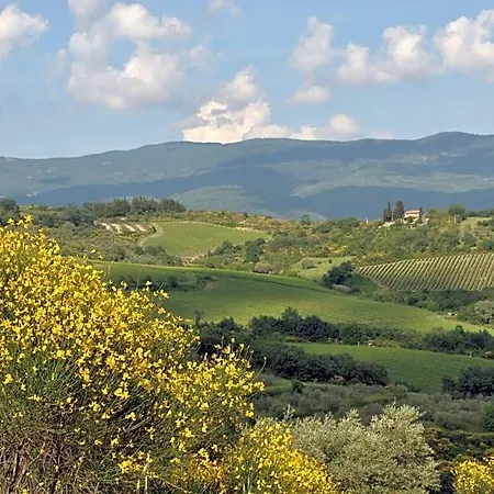 Lavanda E Rosmarino Capolona