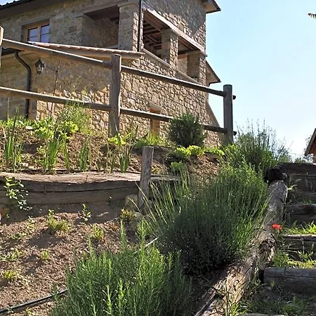 Lavanda E Rosmarino Capolona
