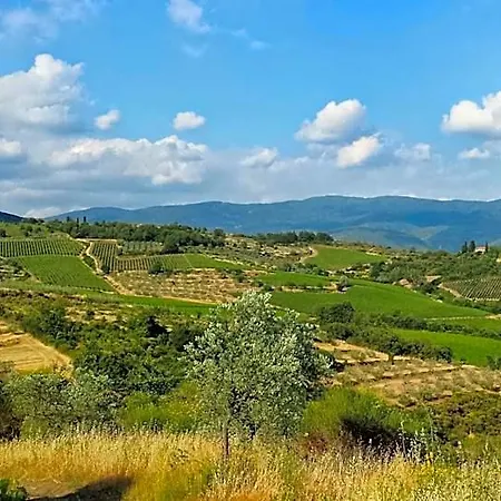 Lavanda E Rosmarino